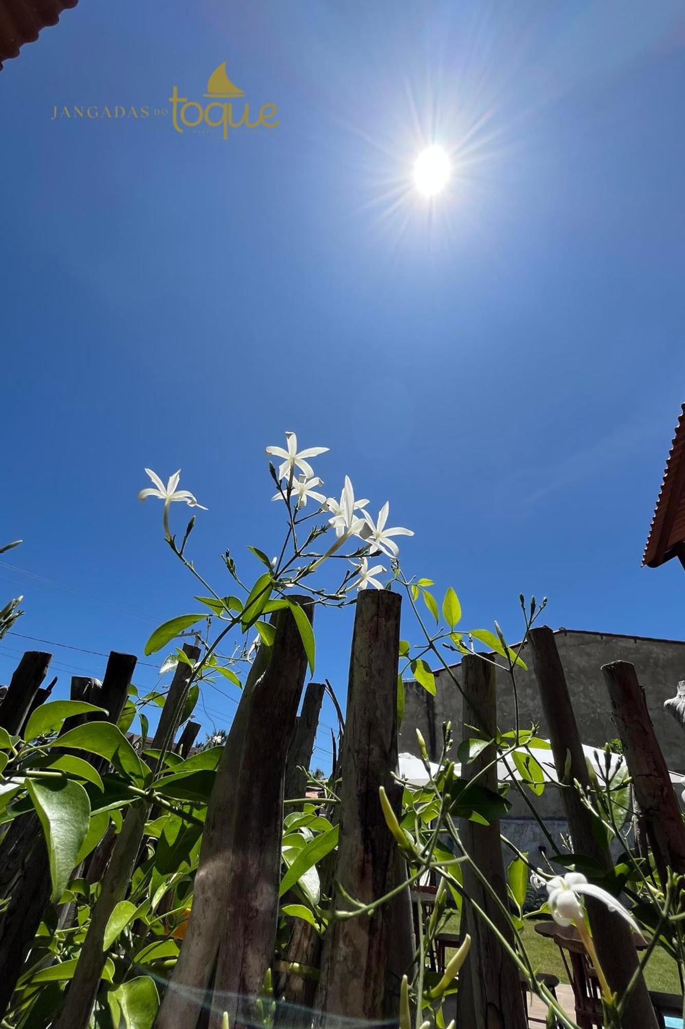 Jangadas Do Toque Milagres Flat 1 Terreo São Miguel dos Milagres Exteriör bild